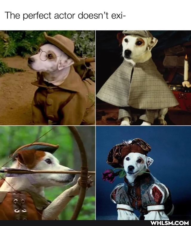 The perfect actor doesn't exi-
wy
we