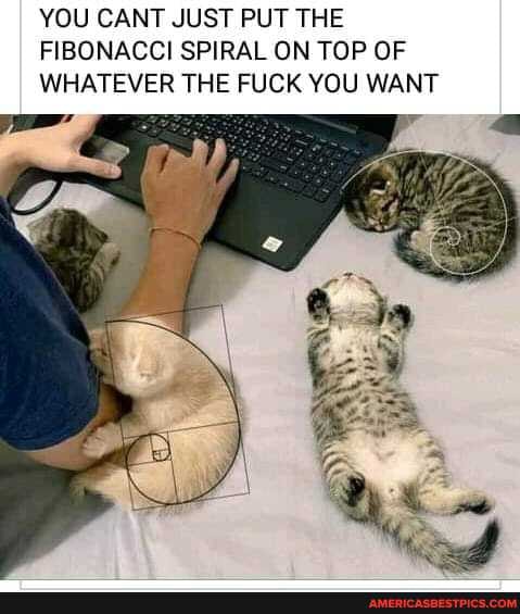 YOU CANT JUST PUT THE FIBONACCI SPIRAL ON TOP OF WHATEVER THE FUCK YOU WANT