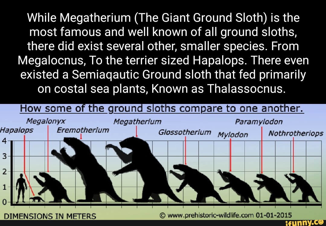 Ground Sloth Size Comparison