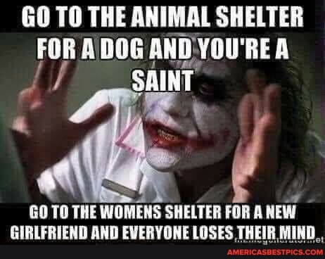 GO TO THE ANIMAL SHELTER FOR ADOG AND YOU'RE A SAINT
60 TO THE WOMENS SHELTER FOR A NEW GIRLFRIEND AND EVERYONE LOSES ,THEIR MIND,