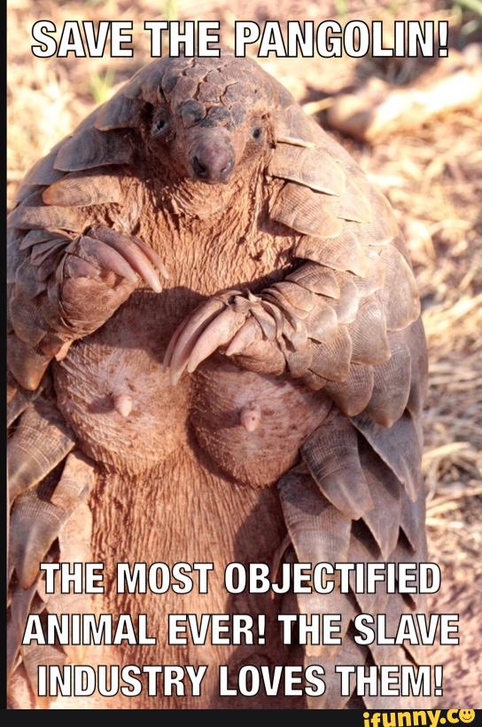 objectify, pangolin, save, breast