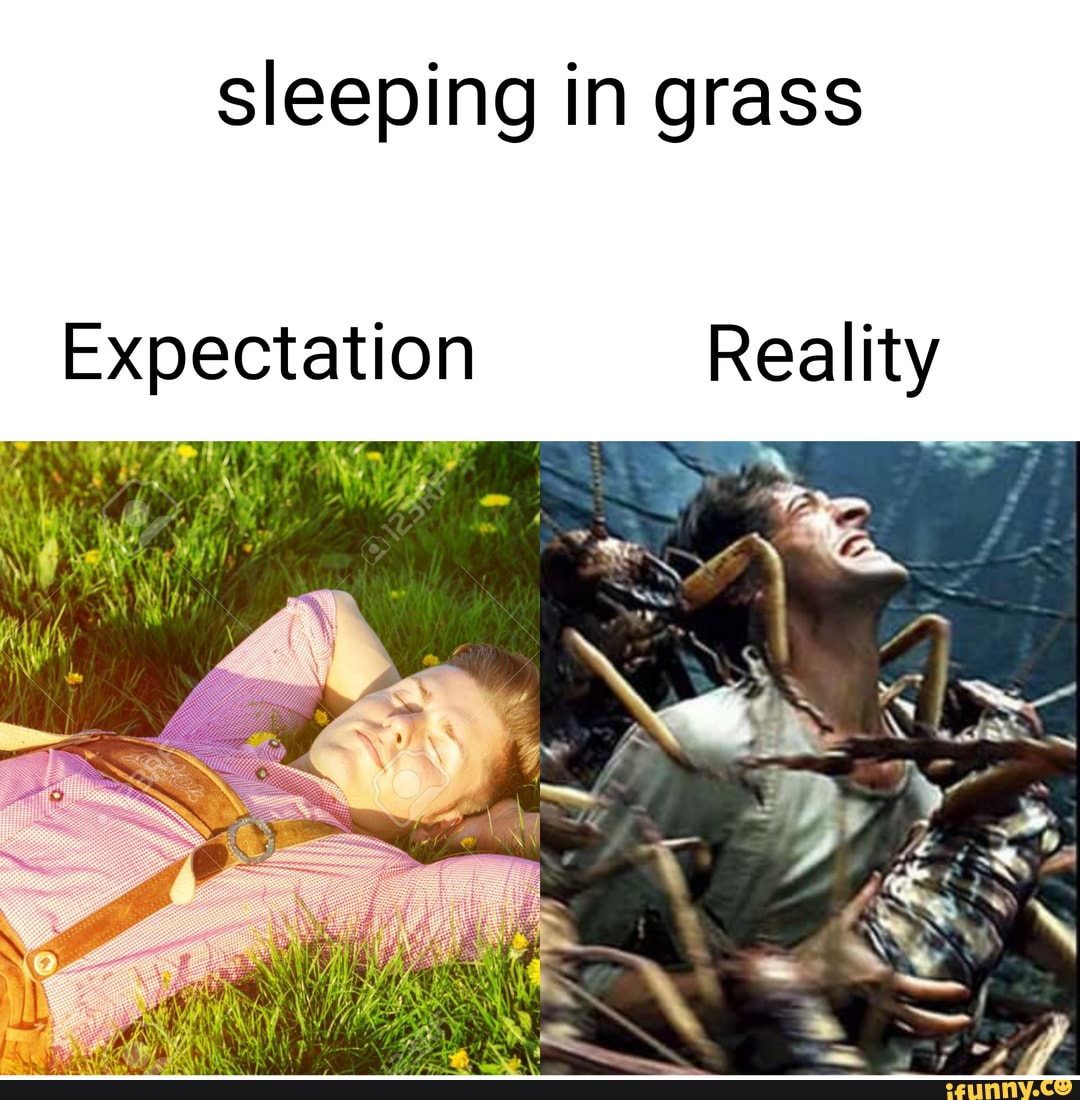 sleeping in grass
Expectation Reality