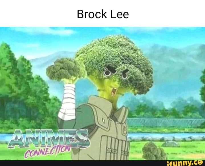 SS Brock Lee - iFunny Brazil