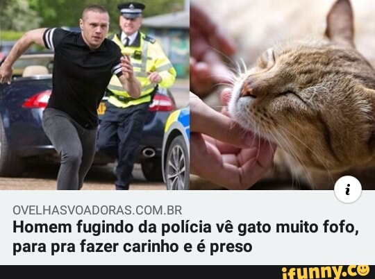OVELHASVOADORAS.COM.BR Homem fugindo da polícia vê gato muito fofo, para pra fazer carinho e é preso