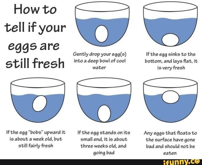 How to tell if your eggs are Gently drop your If the egg sinks to the
