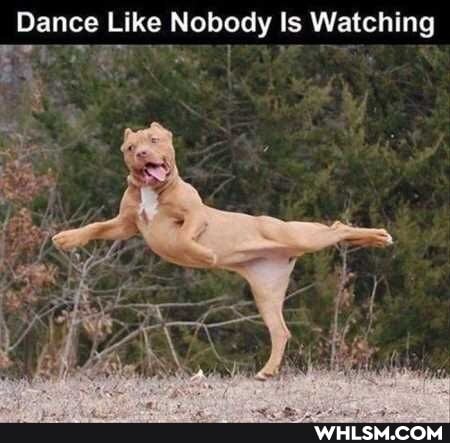 Dance Like Nobody Is Watching