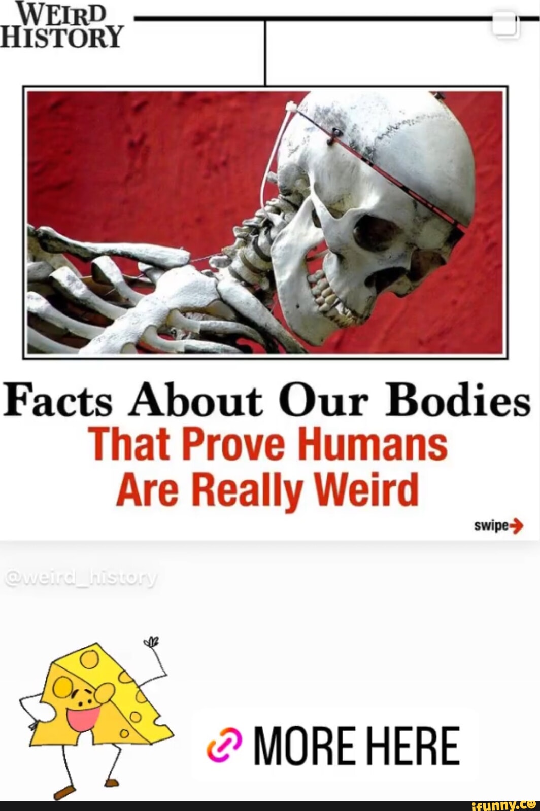 weird facts about humans