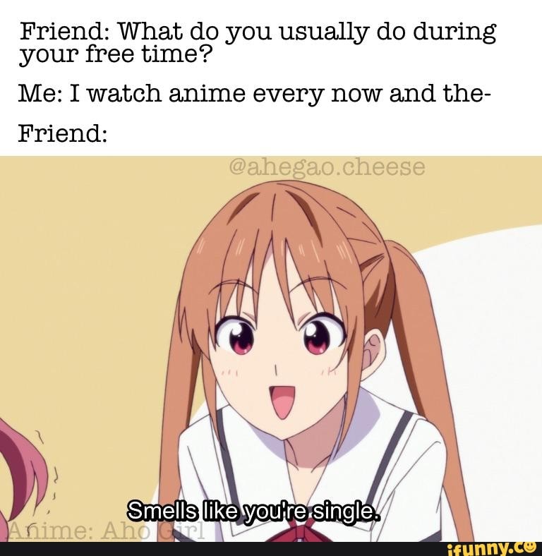 Friend: What Do You Usually Do During Your Free Time? Me: I Watch Anime 