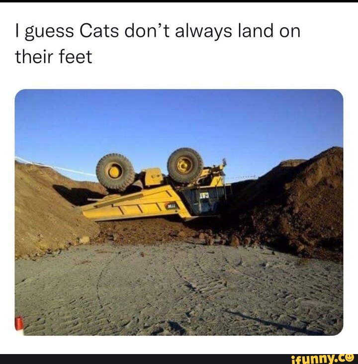 I guess Cats don't always land on their feet - iFunny