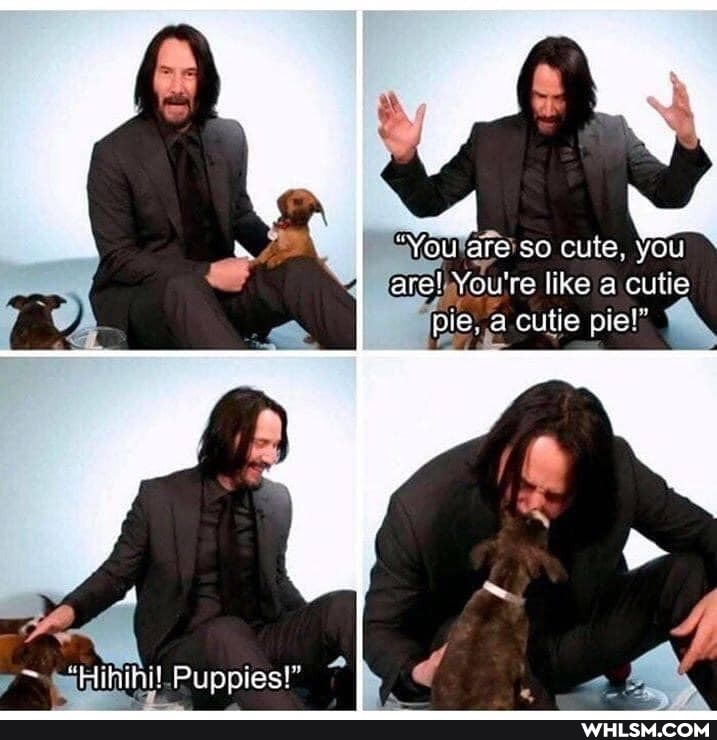 myourare so cute, you fare!. You're like a cutie
Puppies!"