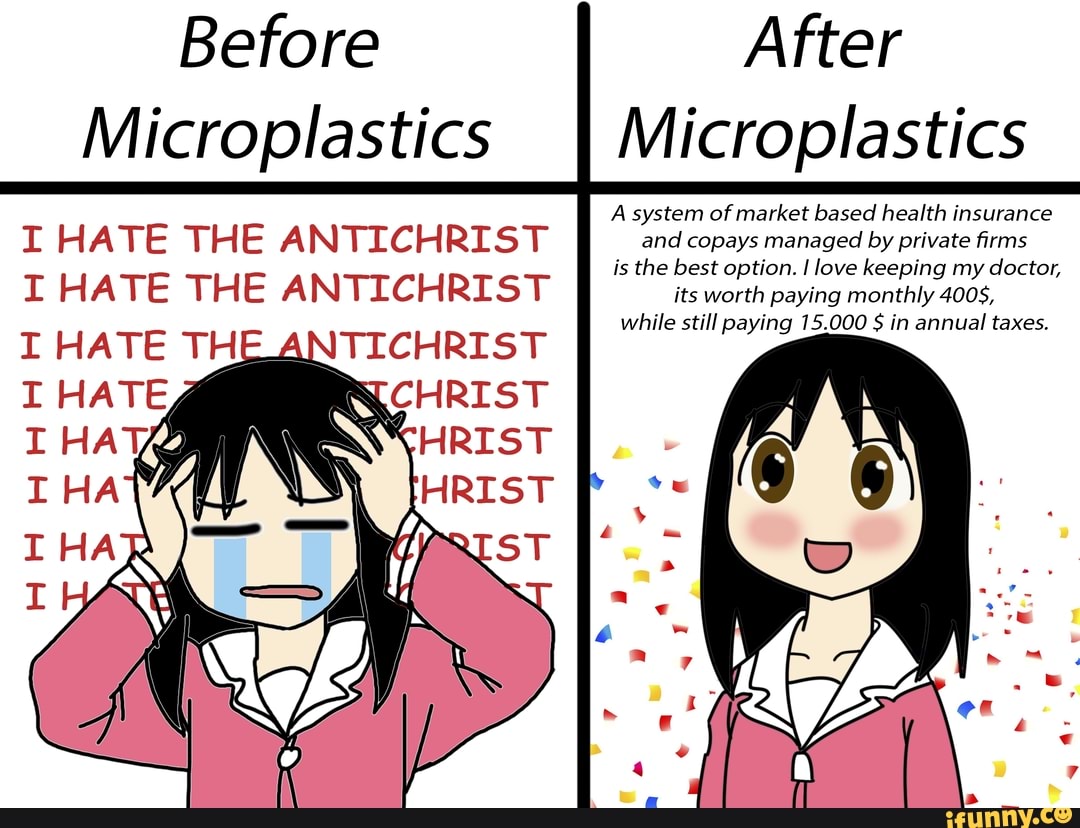 before-after-microplastics-ii-microplastics-a-system-of-market-based