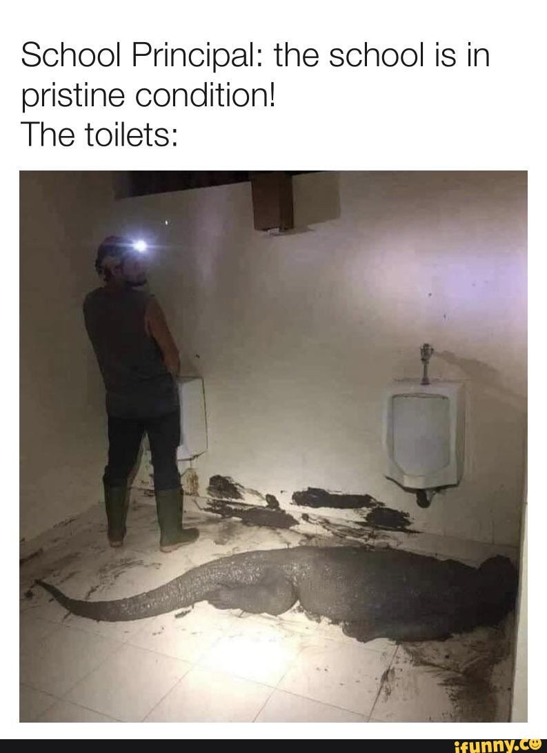School Principal: the school is in pristine condition!
The toilets: