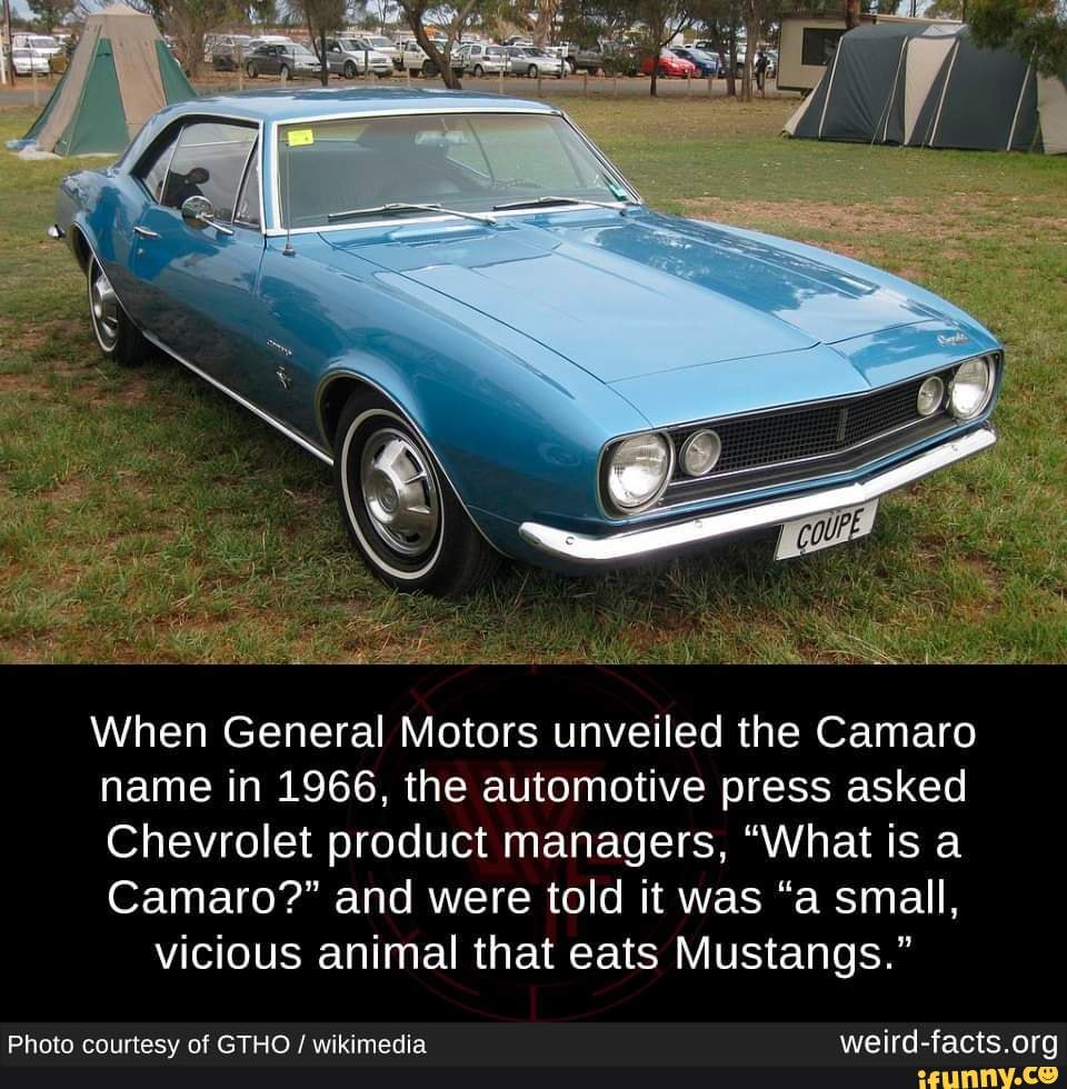 When General Motors Unveiled The Camaro Name In 1966, The Automotive ...