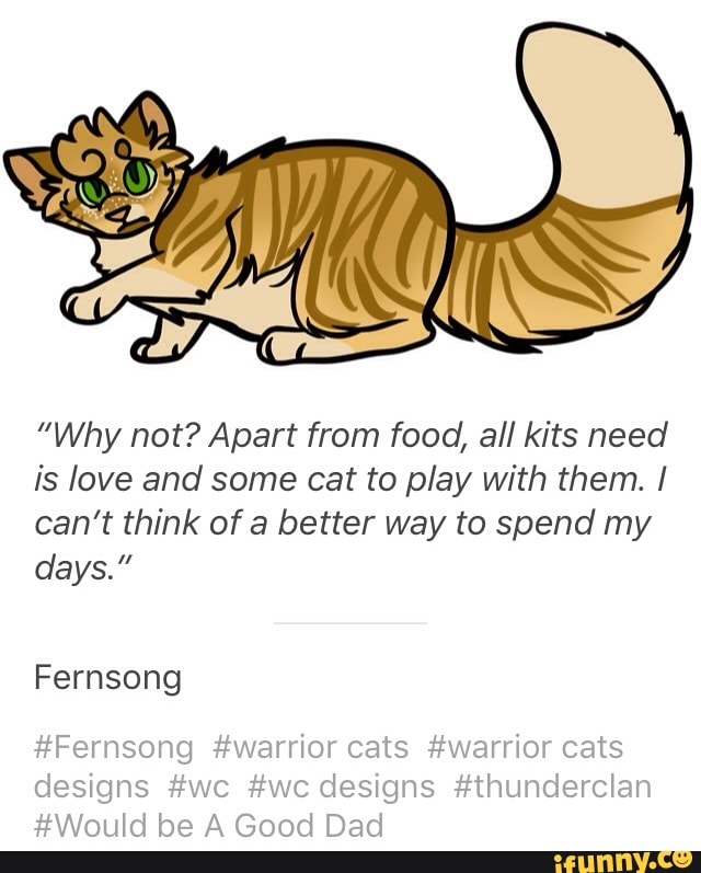 Why Not Apart From Food All Kits Need Is Love And Some Cat To Play With
