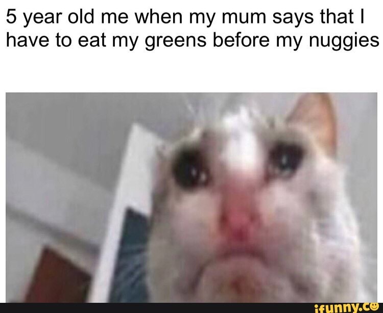 5 year old me when my mum says that I
have to eat my greens before my nuggies