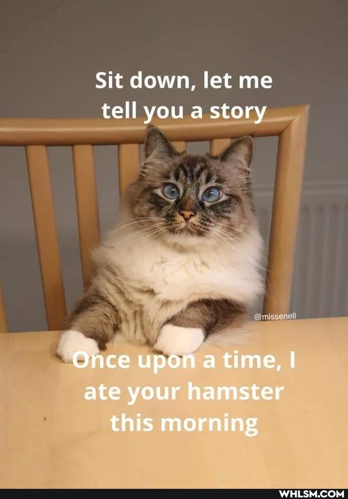 Sit down, let me tell you a story
Once upon me I ate your hamster this morning