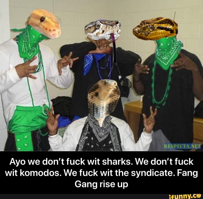 RESPECTA.NET
Ayo we don't fuck wit sharks. We don't fuck wit komodos. We fuck wit the syndicate. Fang
Gang rise up - Ayo we don’t fuck wit sharks. We don’t fuck wit komodos. We fuck wit the syndicate. Fang Gang rise up