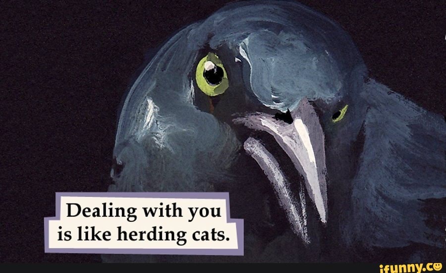 Dealing with you is like herding cats.