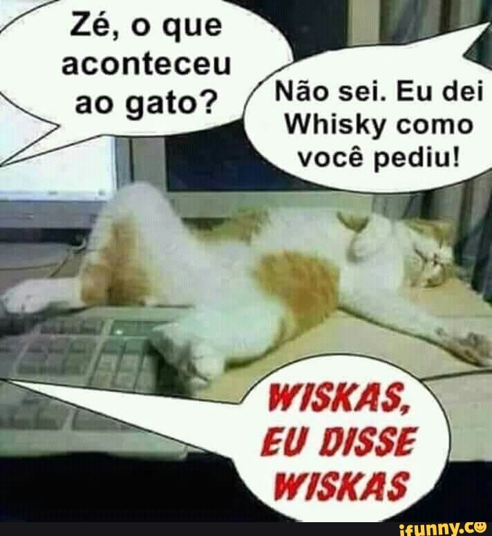ao gato? Não sei. Eu dei
Whisky como
você pediu!