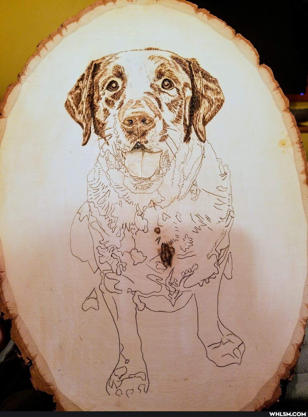 art, dog