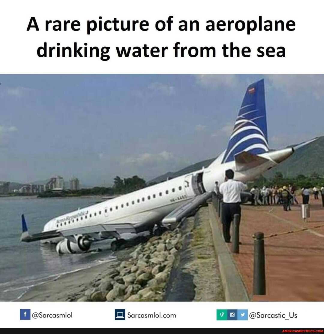 A rare picture of an aeroplane drinking water from the sea
@Sarcasmlol Us