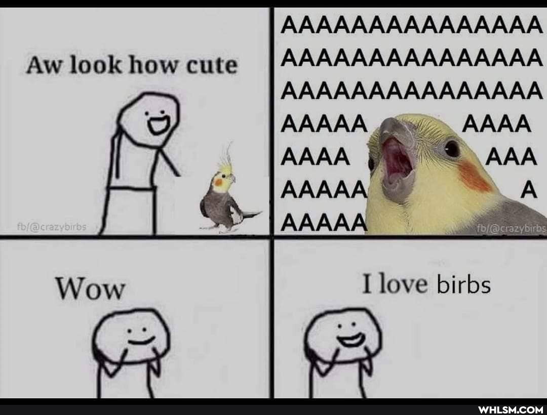 Aw look how cute
AAAAAAAAAAAAAAA AAAAAAAAAAAAAAA AAAAAAAAAAAAAAA
AAAAA AAAA AAA AAA AAAAA
AAA AAAAA
love