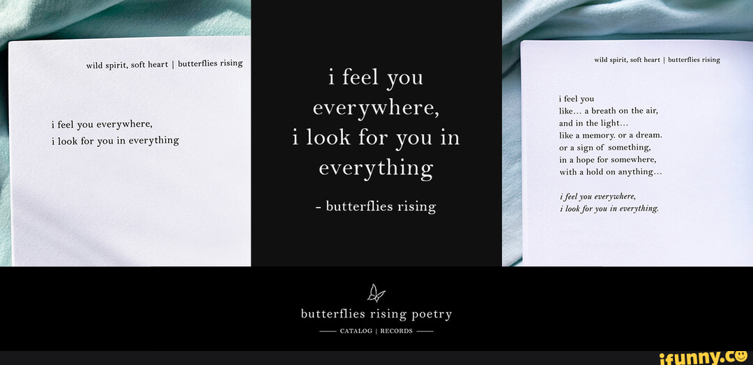 i feel you everywhere, i look for you in everything - butterflies rising