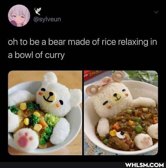 oh to be bear made of rice relaxing in a bowl of curry