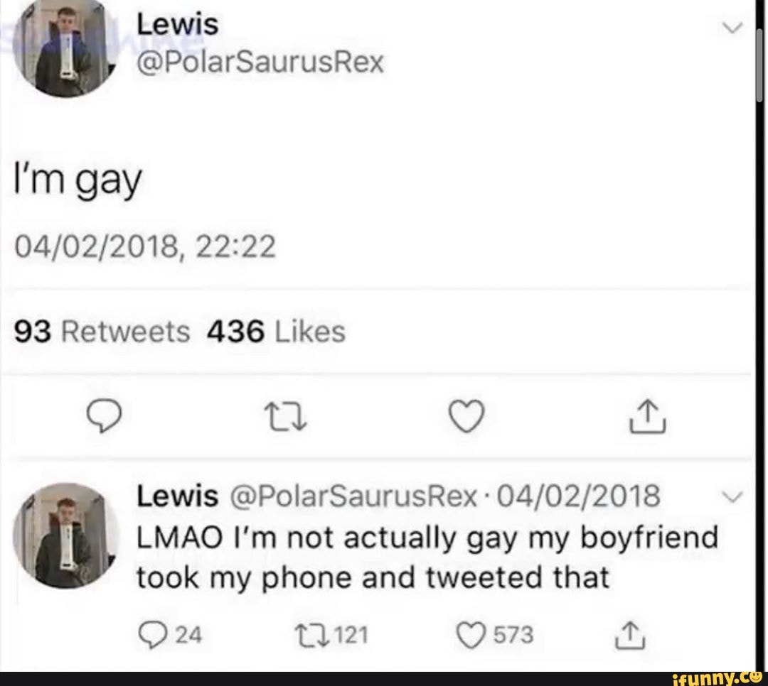 lmao im not gay meme