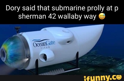 Wallaby memes. Best Collection of funny Wallaby pictures on iFunny