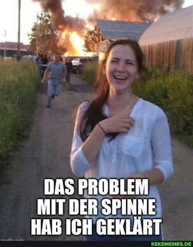 DAS PROBLEM MIT DER SPINNE!
HAB ICH GEKLÄRT