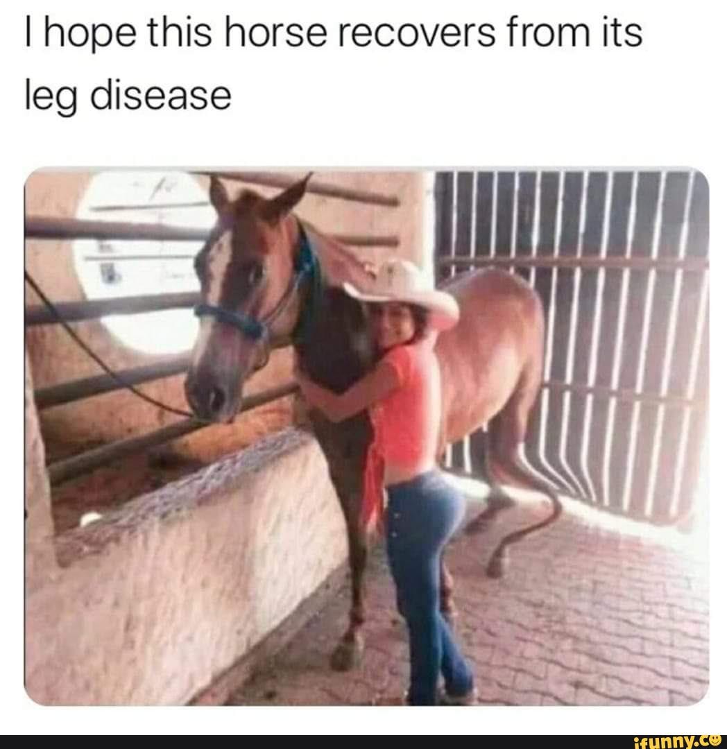 I hope this horse recovers from its leg disease