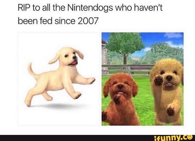RIP to all the Nintendogs who haven't
been fed since 2007