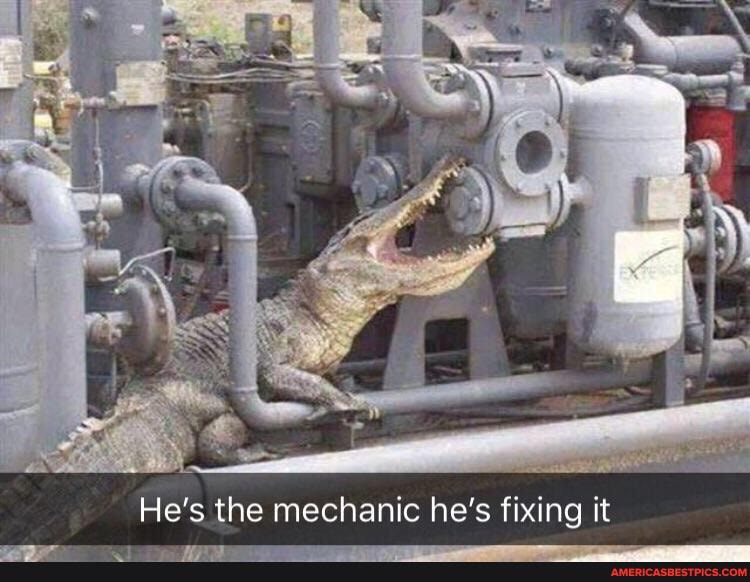 He's the mechanic he's fixing it