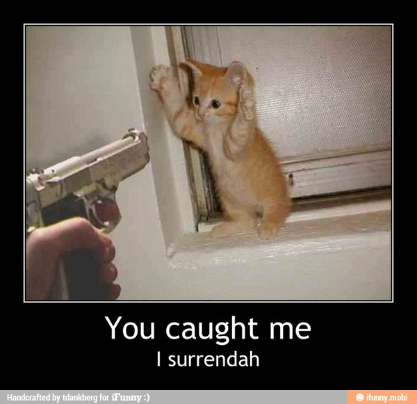 You caught me
I surrendah - You caught me
I surrendah