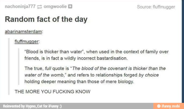 Day Fluffmugger Blood Is Thicker Than Water When Used In The Context Of Family Over Friends