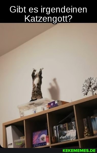 Gibt es irgendeinen
Katzengott?