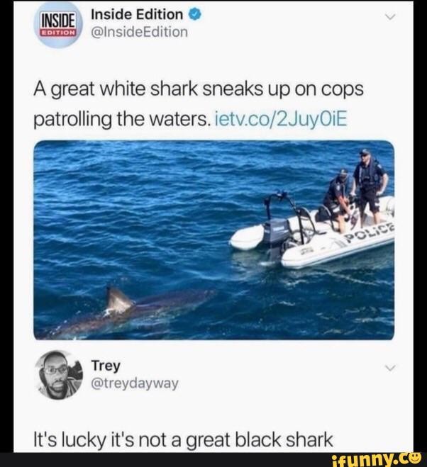 INSIDE Inside Edition
@InsideEdition
A great white shark sneaks up on cops
patrolling the waters.
Trey
@treydayway