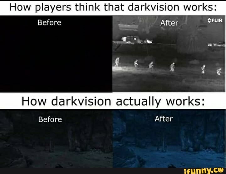 How players think that darkvision works How darkvision actually works
