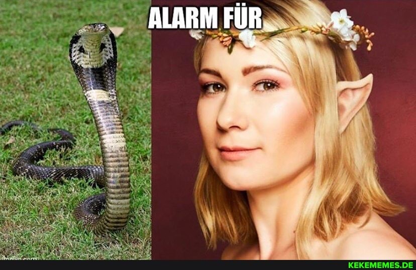 ALARM FUR.