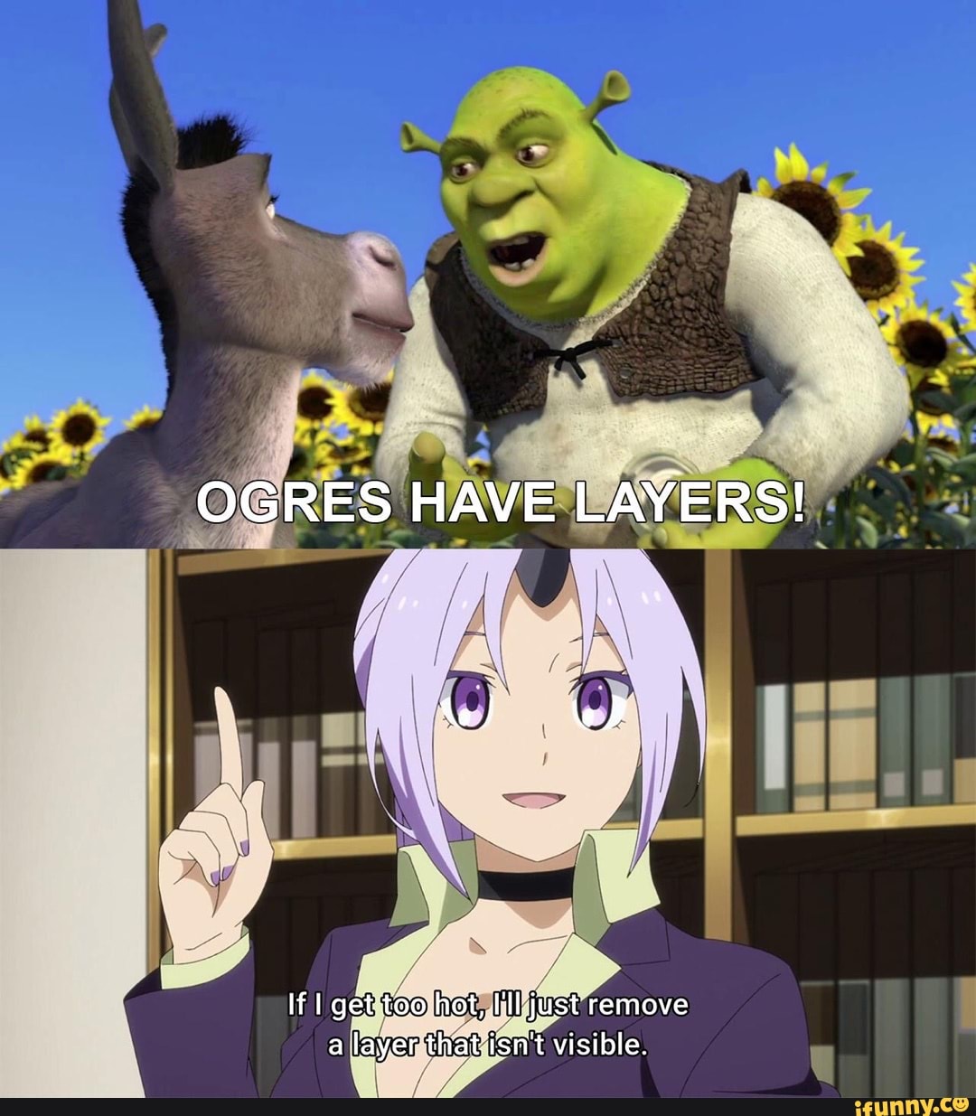 OGRES HAVE LAYERS! we) WD If I get'too fist, I'Ikjust remove a layer