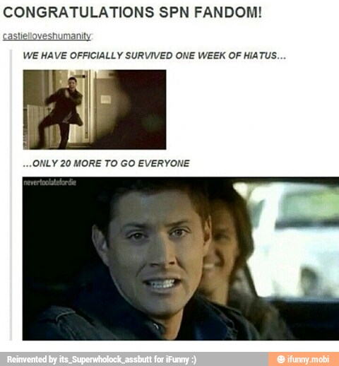 CONGRATULATIONS SPN FANDOM!
castielloveshumanity
WE HAVE OFFICIALLY SURVIVED ONE WEEK OF HIATUS.
...ONLY 20 MORE TO GO EVERYONE