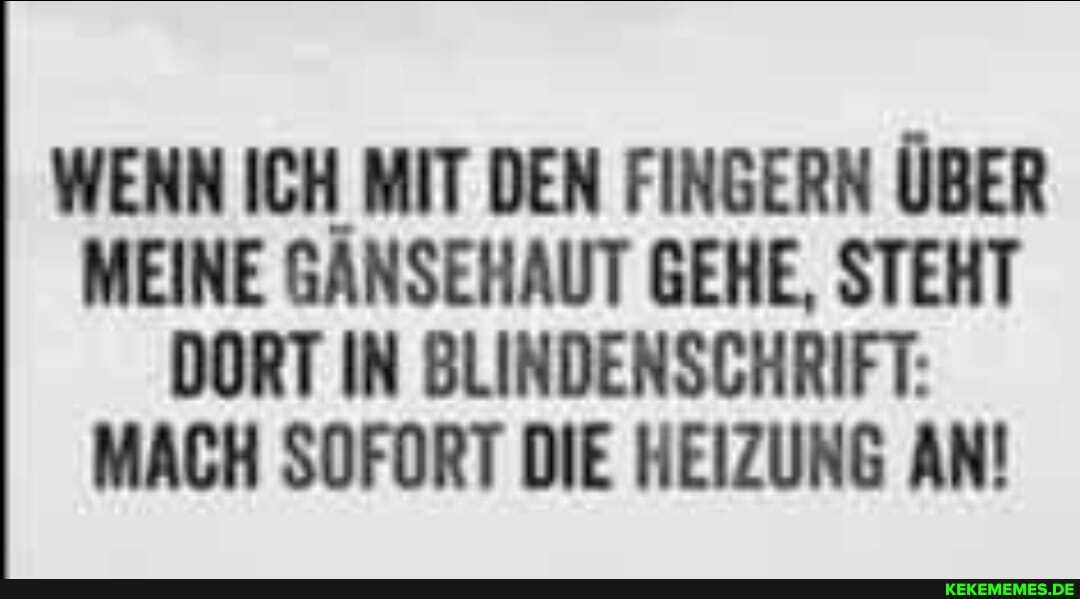 WENN ICH MIT DEN FINGERN ÜBER MEINE GÄNSEHAUT GEHE, STEHT DORT IN BLINDENSCHRIFT:
MACH SOFORT DIE HEIZUNG AN!