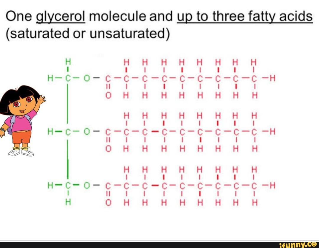 One glycerol molecule and up to three fatty acids SE= (saturated or unsaturated) HOZ TOF THO