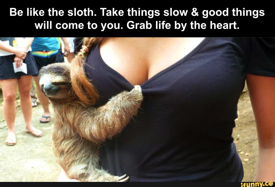 Be like the sloth. Take things slow & good things will come to you. Grab life by the heart.