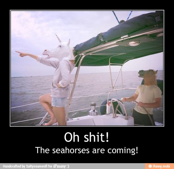 Oh shit!
The seahorses are coming! - Oh shit!
The seahorses are coming!
