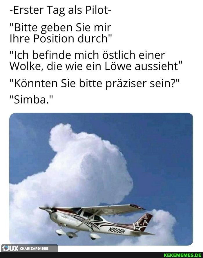 -Erster Tag als Pilot-
"Bitte geben Sie mir
Ihre Position durch"
"Ich befinde mich östlich einer
Wolke, die wie ein Löwe aussieht"
"Könnten Sie bitte präziser sein?"
"Simba."