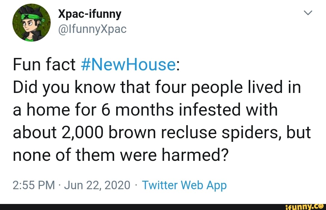 Fun fact #NewHouse:
Did you know that four people lived in
a home for 6 months infested with
about 2,000 brown recluse spiders, but
none of them were harmed?
Twitter Web App