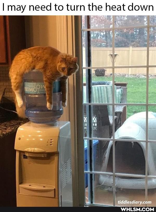 I may need to turn the heat down