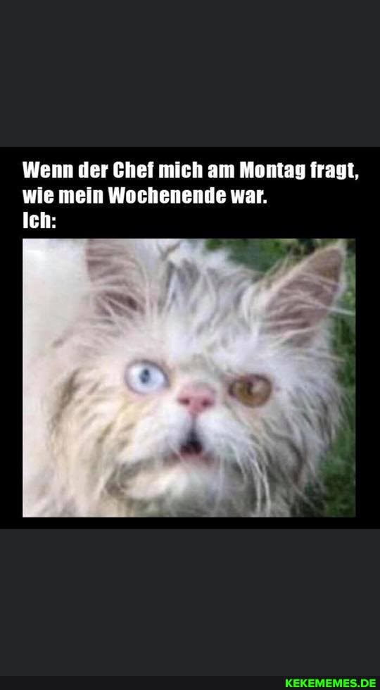 Wenn er Ghei mich am Montag fragt, wie mein Wochenende war.
Ich:
